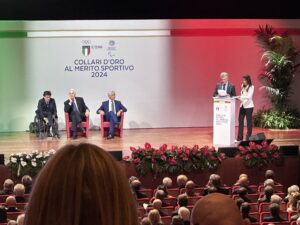 F3 COLLARI 2024