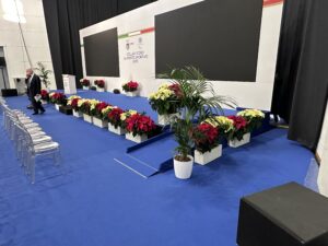 F4 COLLARI 2023