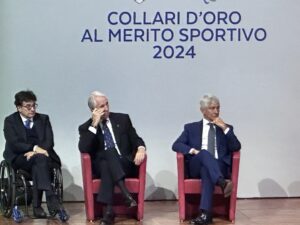 F8 COLLARI 2024